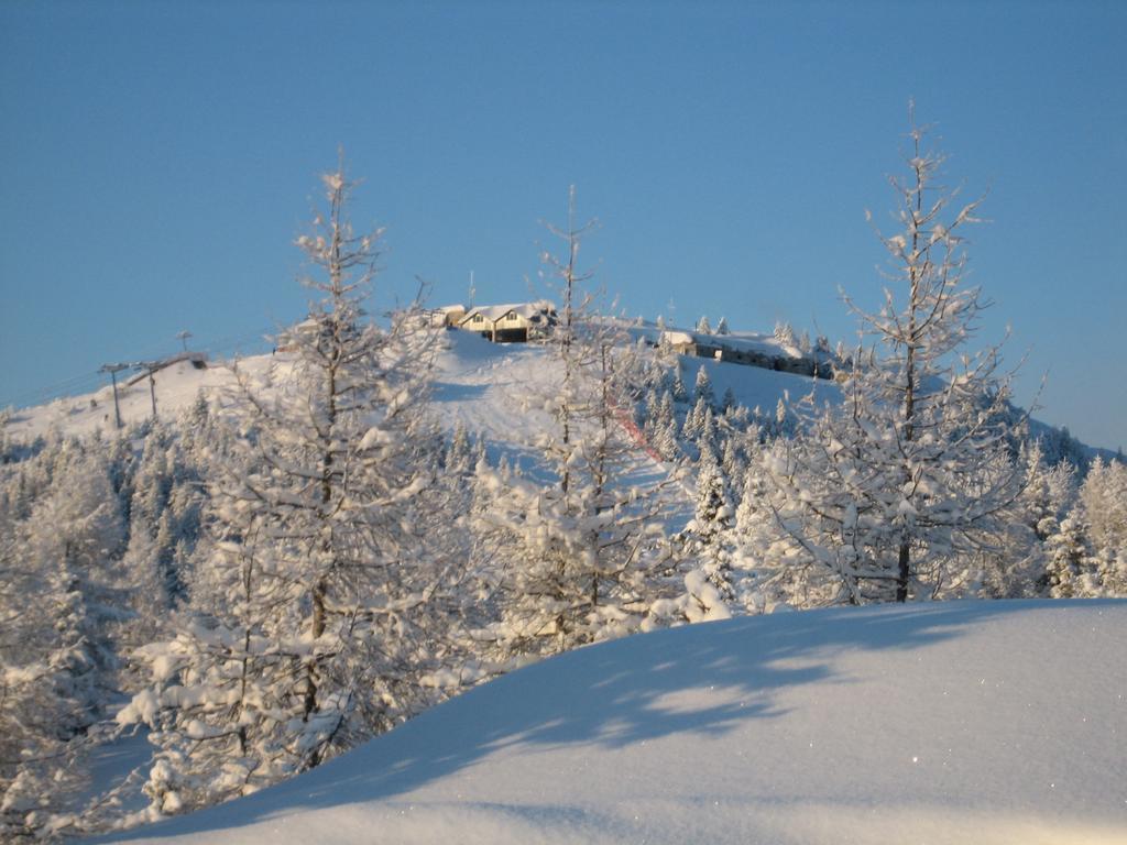 Rifugio Verenetta Casere Verena Esterno foto